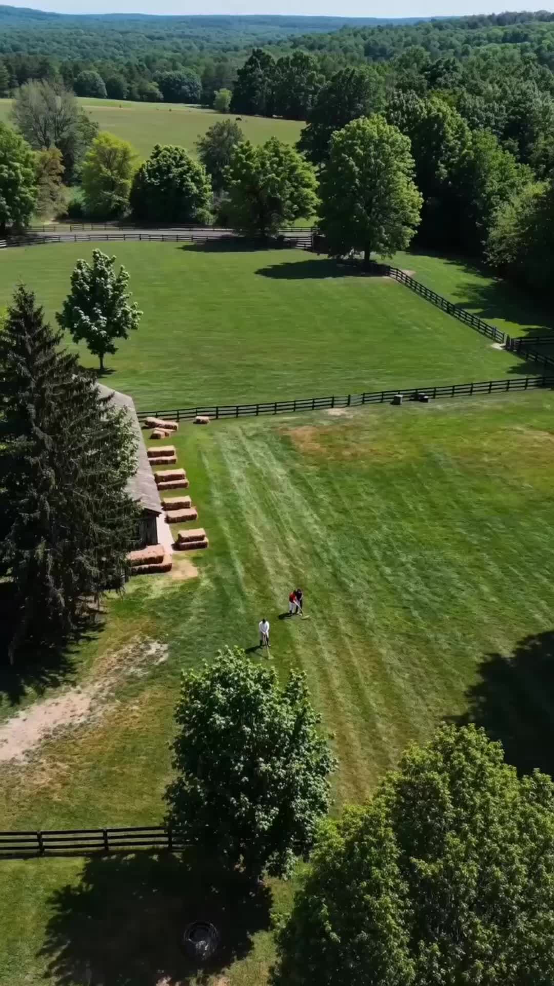 Episode 9 - The Crown's Betrayal